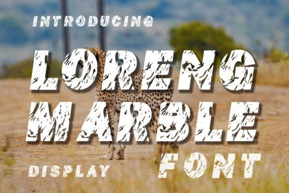 Loreng Marble: Elevating Campaigns with a Refined Display Font